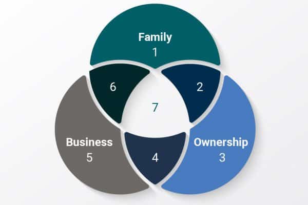 Family Business Ownership Model