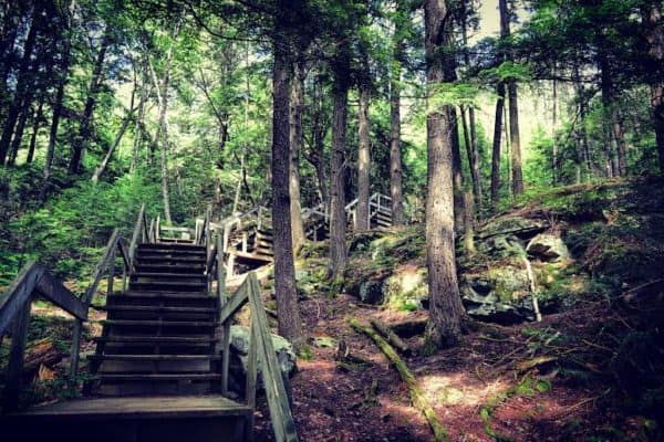 Growing and sustainable family business