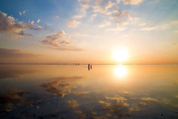 what makes a family business successful