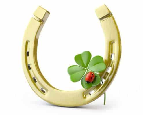 Horse shoe with a 4 leaf clover and a lady bug