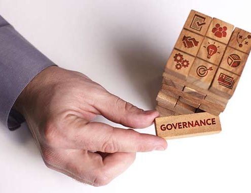 Someone playing ganja and one of the blocks has governance written on it