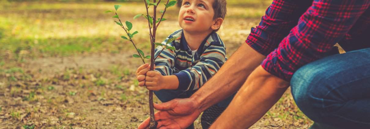 Planting your Family Legacy