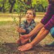 Planting your Family Legacy