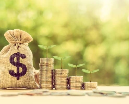 Money bags with plants growing on top