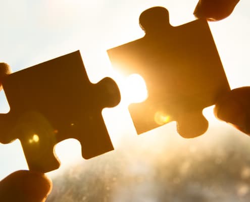 Where Do YOU Fit in Your Business Family?