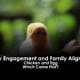 Family Engagement and Family Alignment - Chicken and Egg Which Came First?