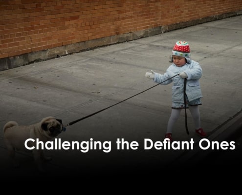 Young girl pulling a dog