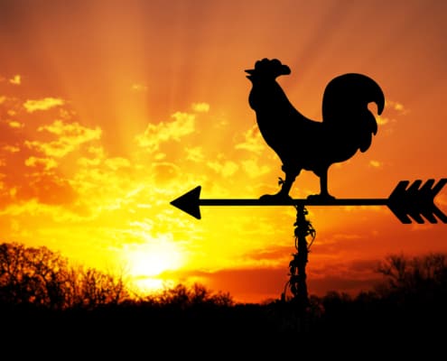 You Can’t Start Too Early – Or Can You