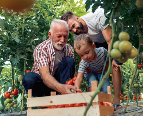 Should I Join My Family Business?