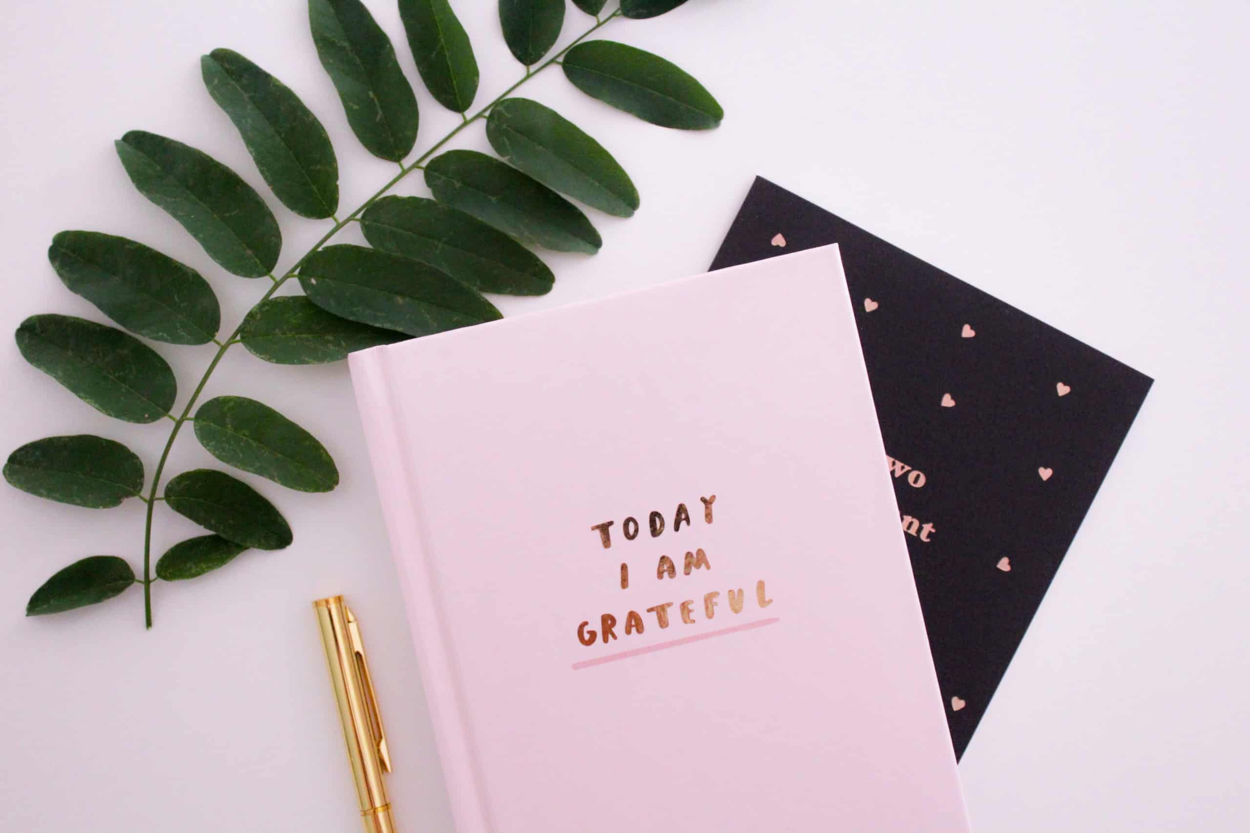 On Gratitude, Feedback, and Deep Connection