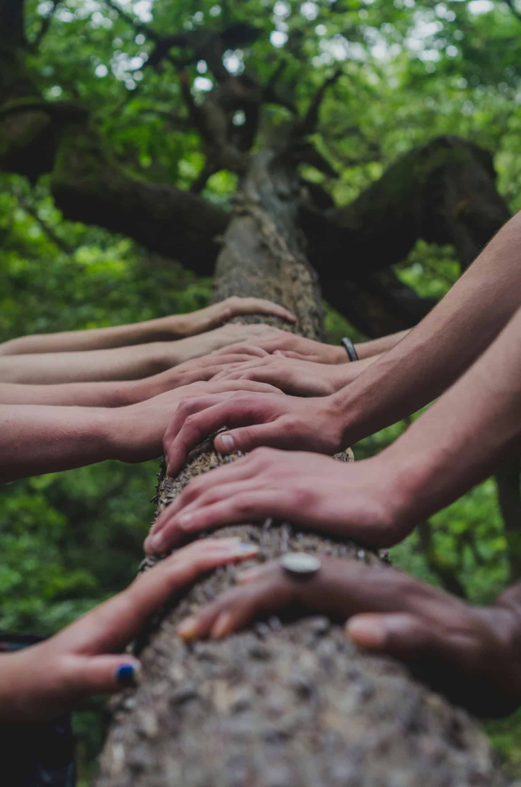 On Gratitude, Feedback, and Deep Connection