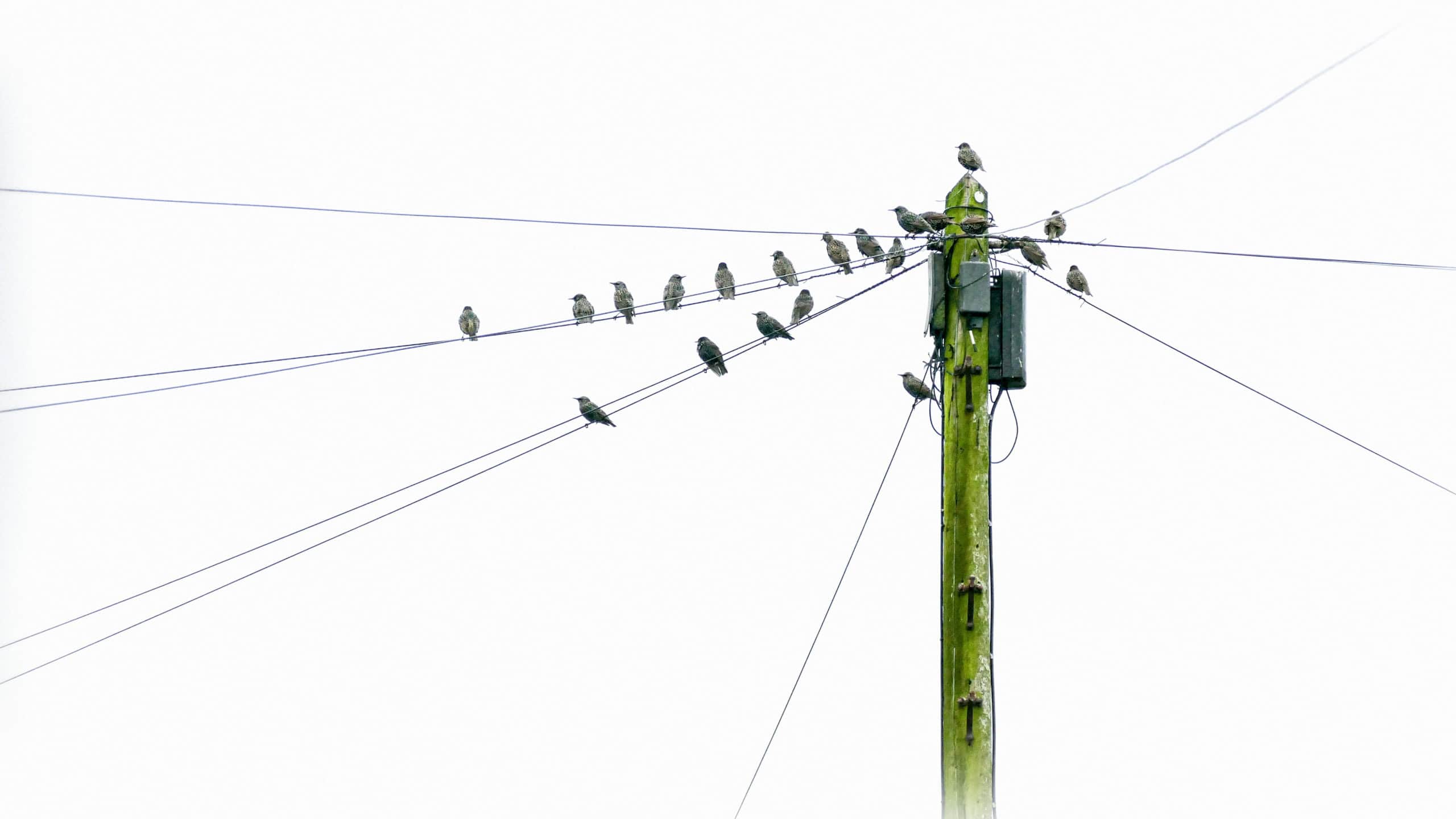 The Many Simultaneous Transitions Happening in Families