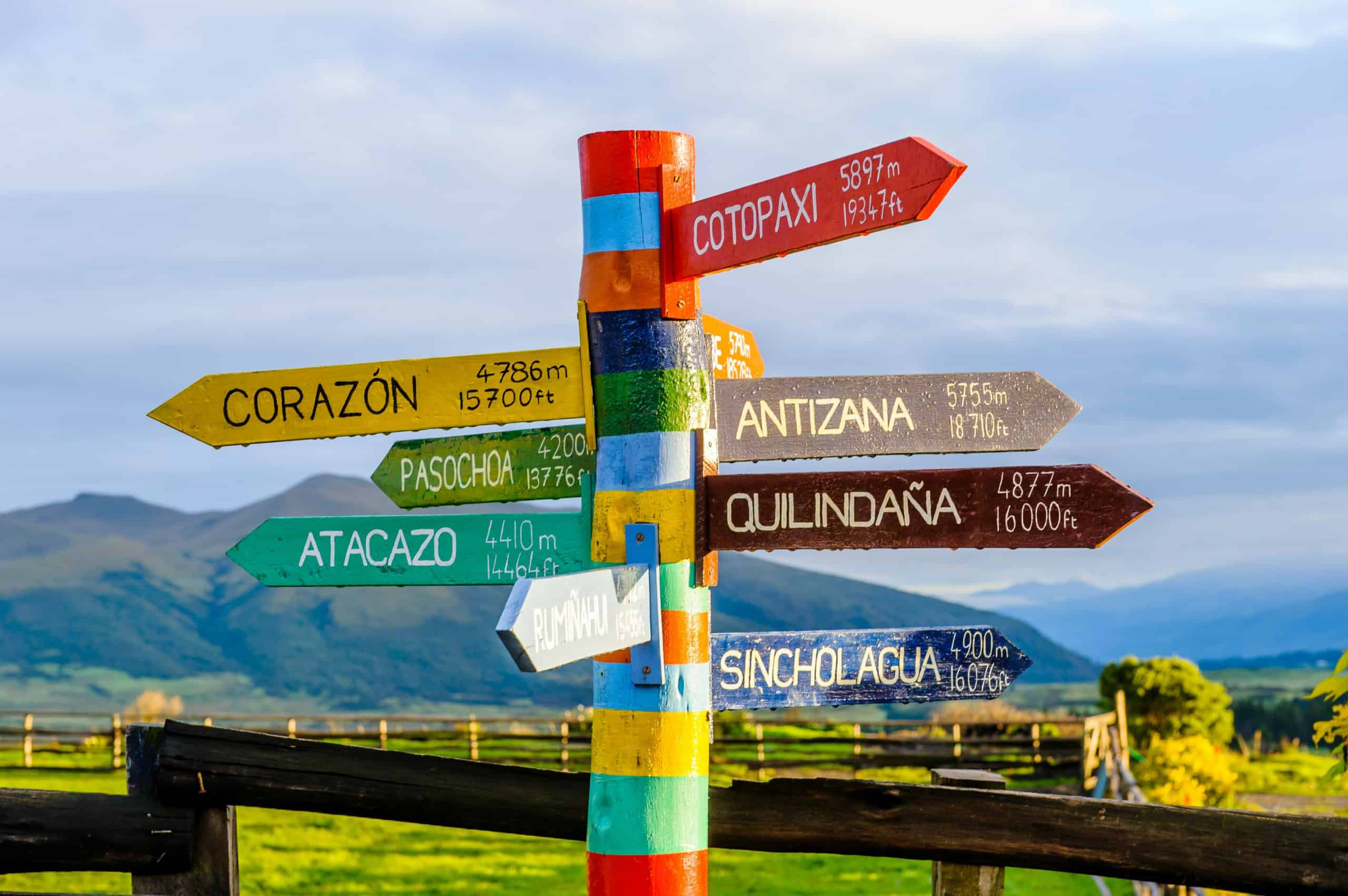 Where Are We Going? Follow Me!