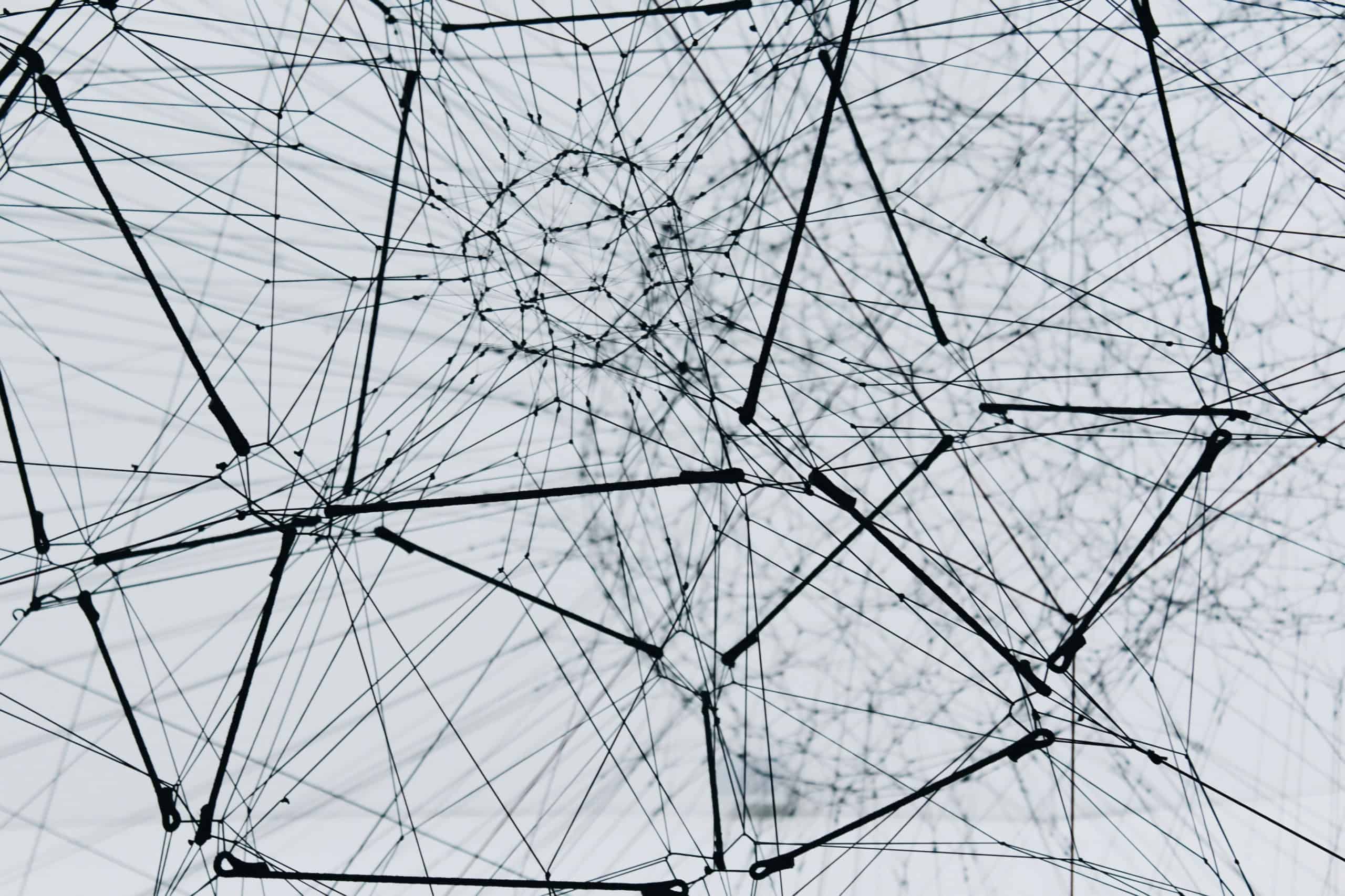 On Connection, Belonging and Learning in Families